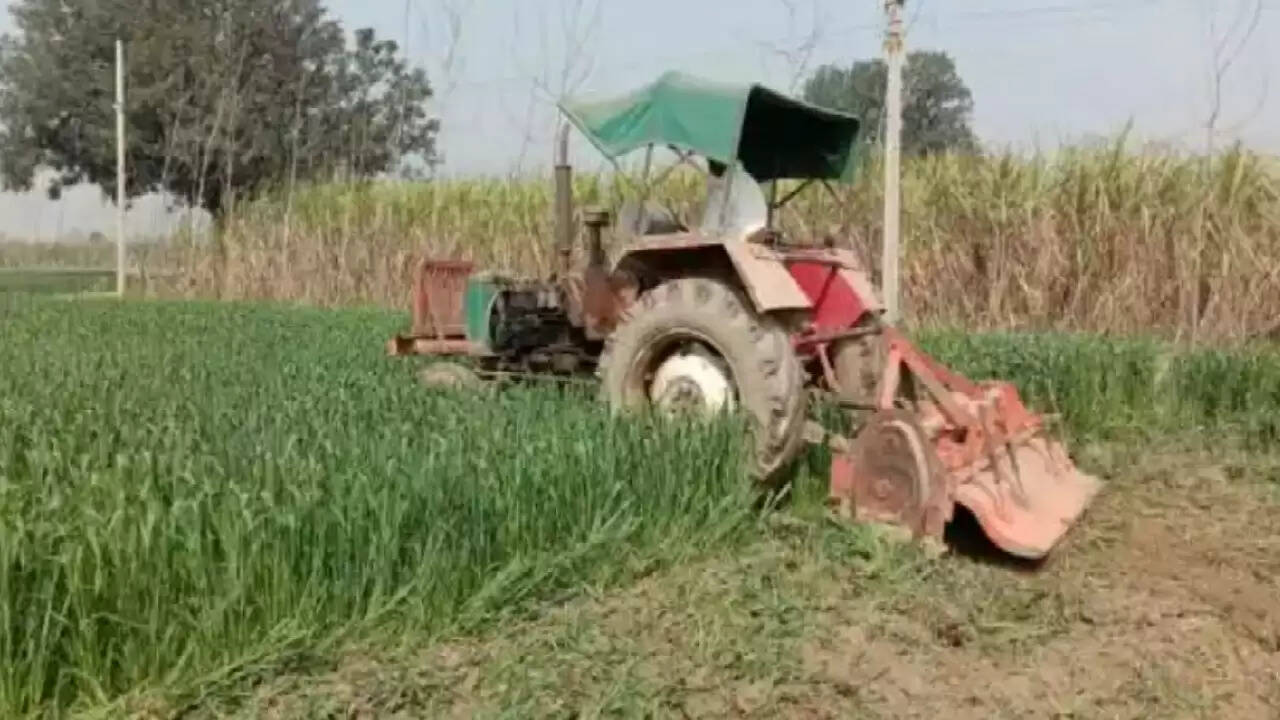 कृषि कानूनों के विरोध में किसान ने गेहूं की खड़ी फ़सल कर दी नष्ट, जानिए ख़बर