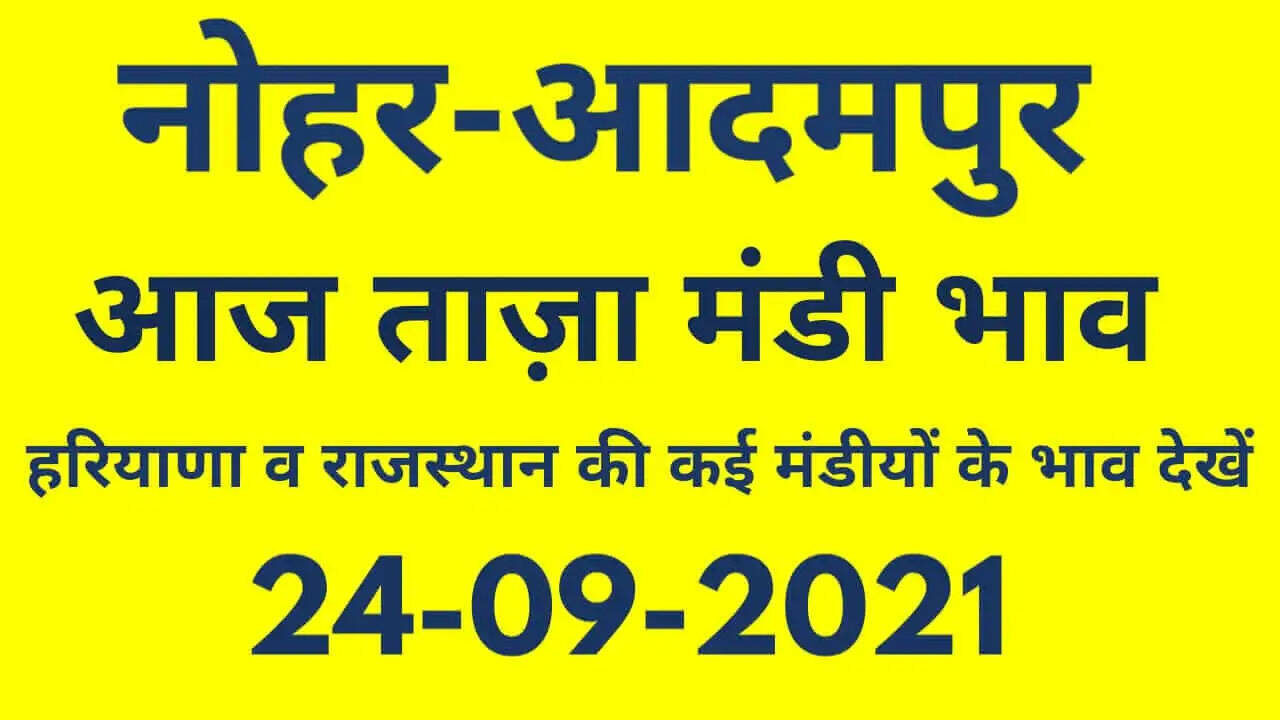 Nohar Adampur Mandi Bhav 24 September 2021- आज के ताजा मंडी भाव 24 सितंबर
