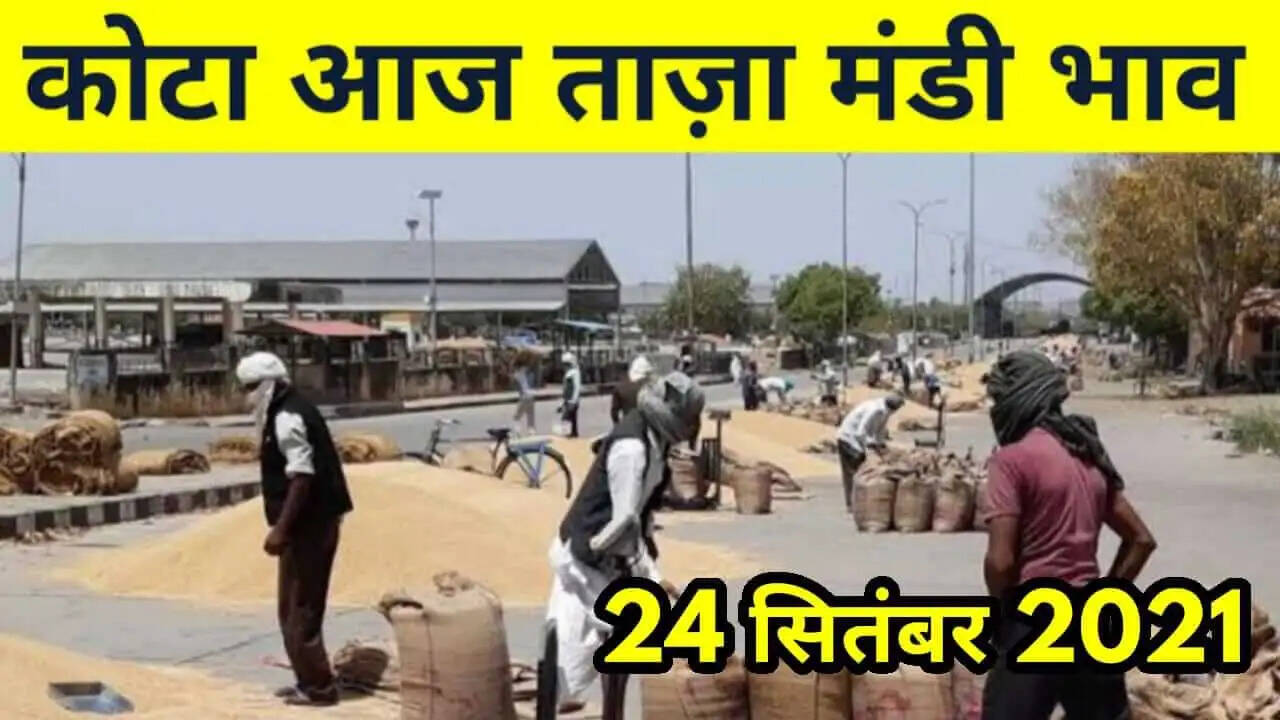 कोटा मंडी भाव 24 सितंबर 2021 , Kota Mandi Bhav 24 September 2021