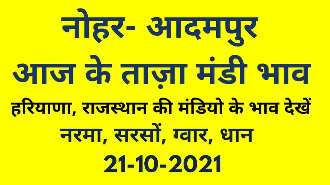 Nohar Adampur Mandi Bhav 21 October 2021- आज के ताजा मंडी भाव 21 अक्टूबर 2021
