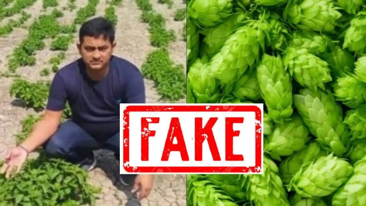 बिहार में लाख रुपए किलो के भाव सब्ज़ी की फसल का दावा निकला फेक, जानिए पूरा मामला