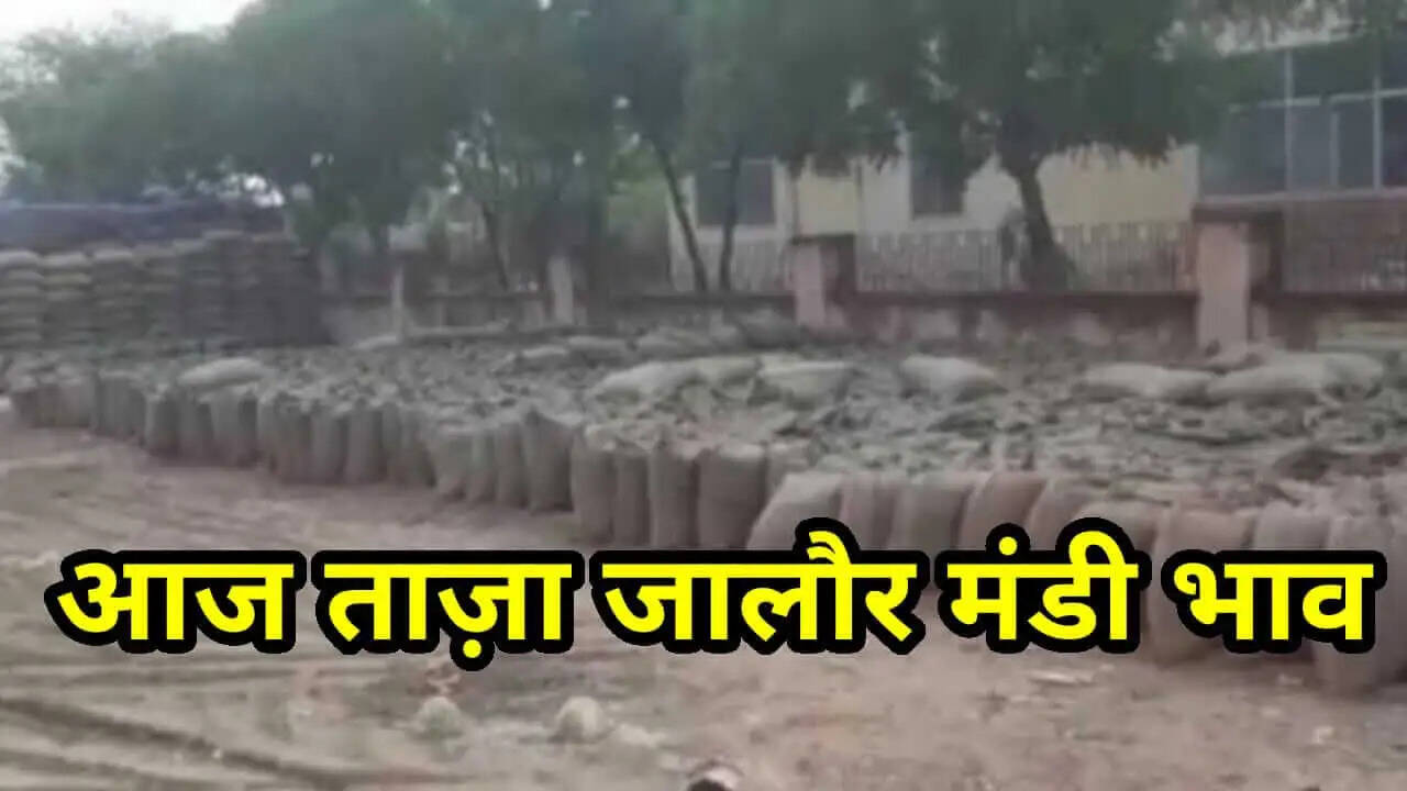 जालौर मंडी भाव 22 सितंबर 2021 , Jalore Mandi Bhav 22 September 2021