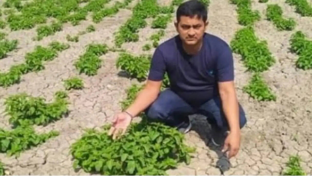 1 किलो सब्ज़ी का भाव 1 लाख रुपए, दुनिया की महंगी सब्ज़ी उगा रहा यह किसान,