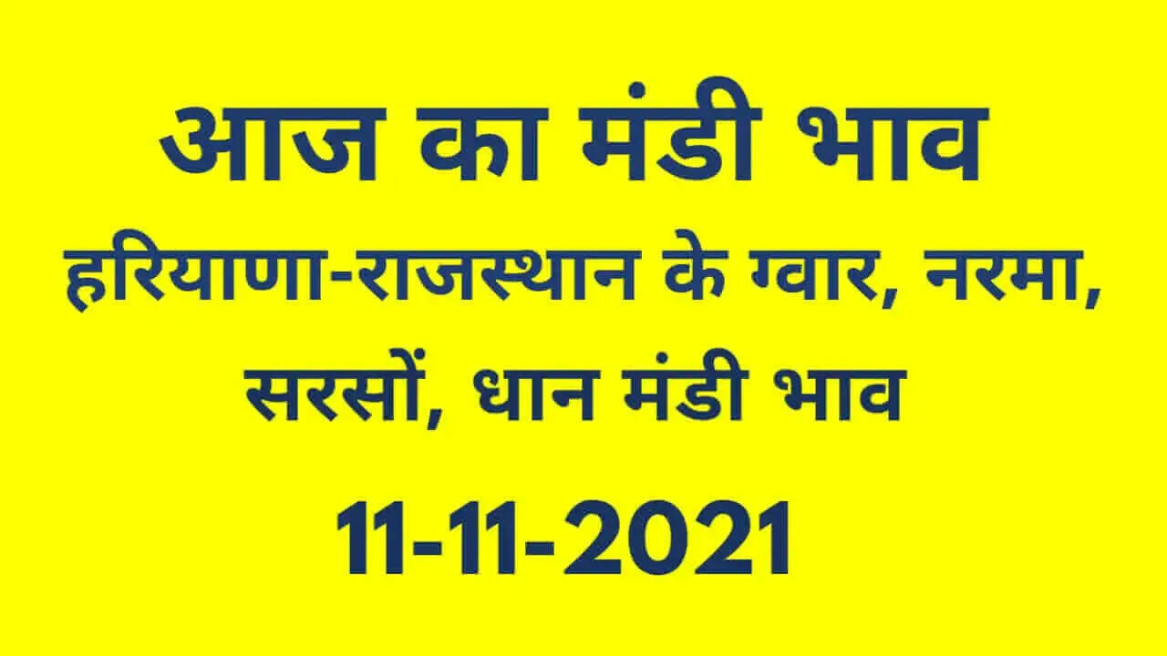 Nohar Adampur Mandi Bhav 11 November 2021- आज के ताजा मंडी भाव 11 नवंबर 2021