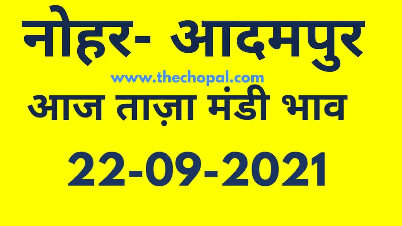 Nohar Adampur Mandi Bhav 22 September 2021- आज के ताजा मंडी भाव 22 सितंबर