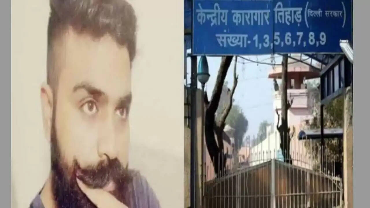 Gangster Ankit Gurjar murder : दिल्ली तिहाड़ जेल में कुख्यात गैंगस्टर की हुई हत्या, 8 हत्याओं का था इनामी बदमाश