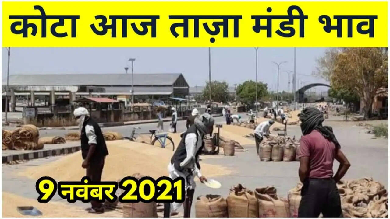 कोटा मंडी भाव 9 नवंबर 2021 , Kota Mandi Bhav 9 November 2021