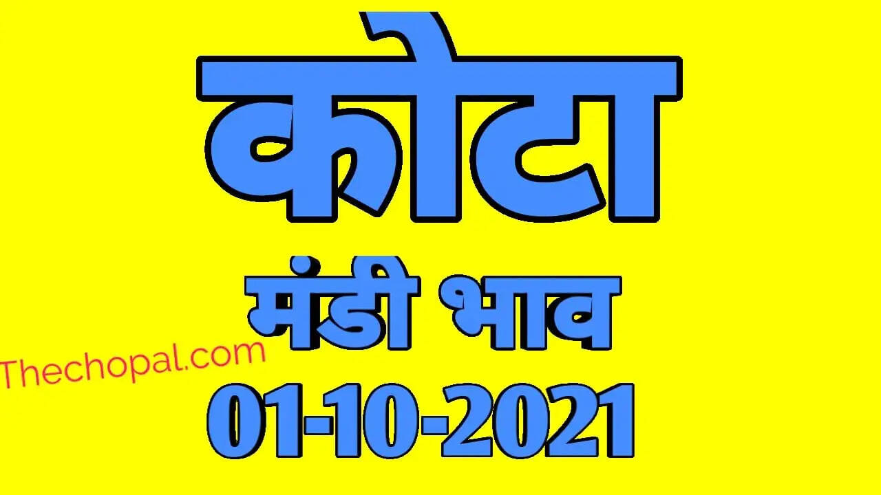 कोटा मंडी भाव 1 अकतूबर 2021 , Kota Mandi Bhav 1 october 2021
