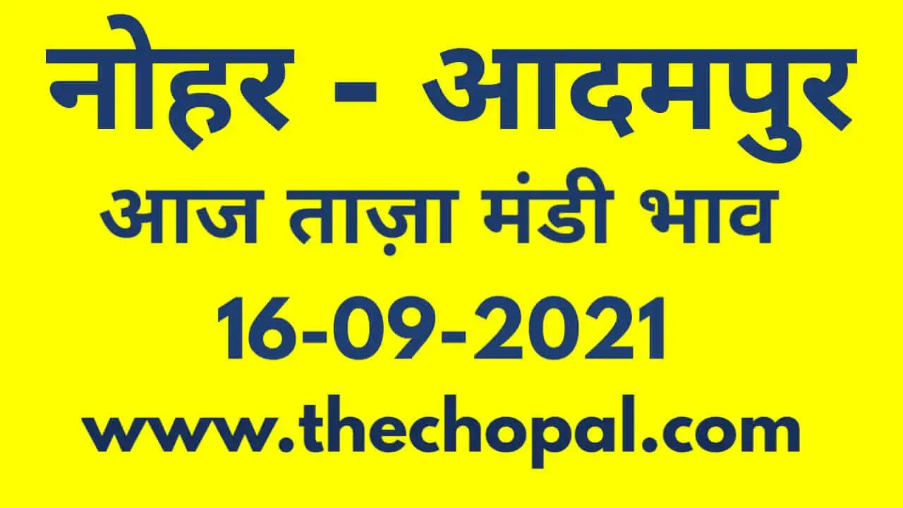 Nohar Adampur Mandi Bhav 16 September 2021- आज के ताजा मंडी भाव 16 सितंबर
