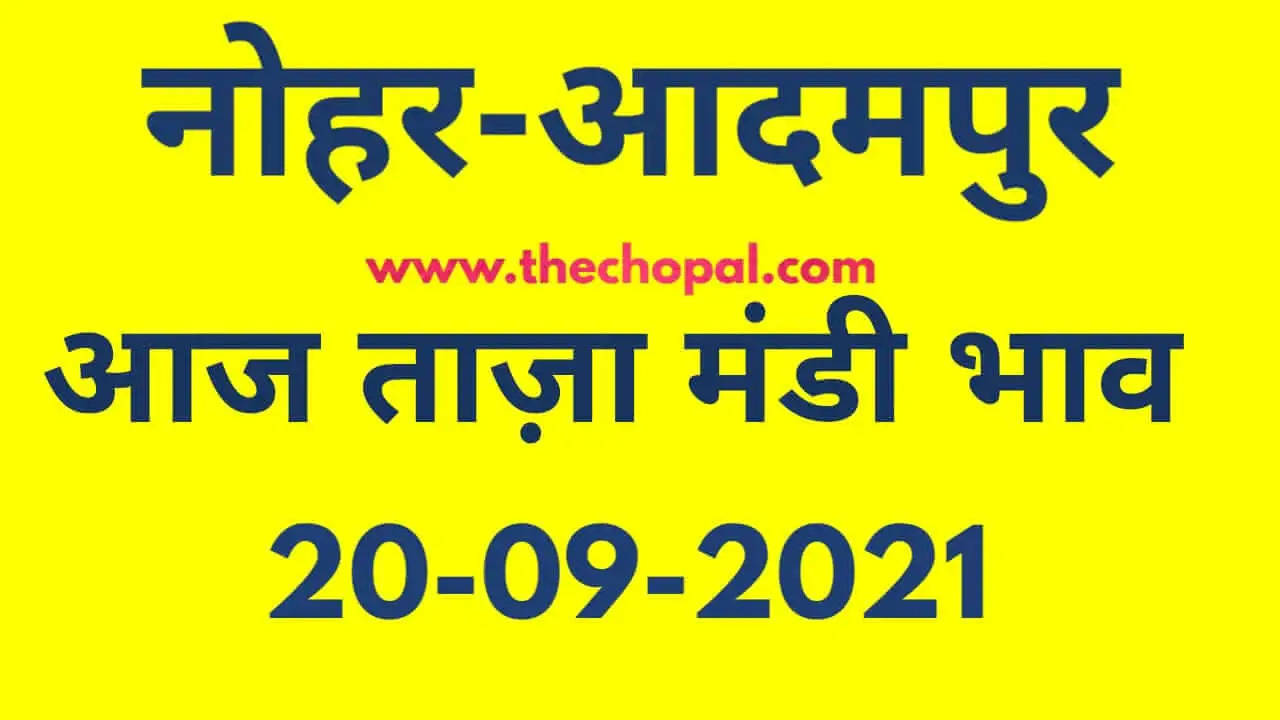 Nohar Adampur Mandi Bhav 20 September 2021- आज के ताजा मंडी भाव 20 सितंबर