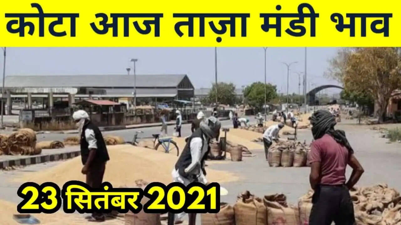 कोटा मंडी भाव 23 सितंबर 2021 , Kota Mandi Bhav 23 September 2021