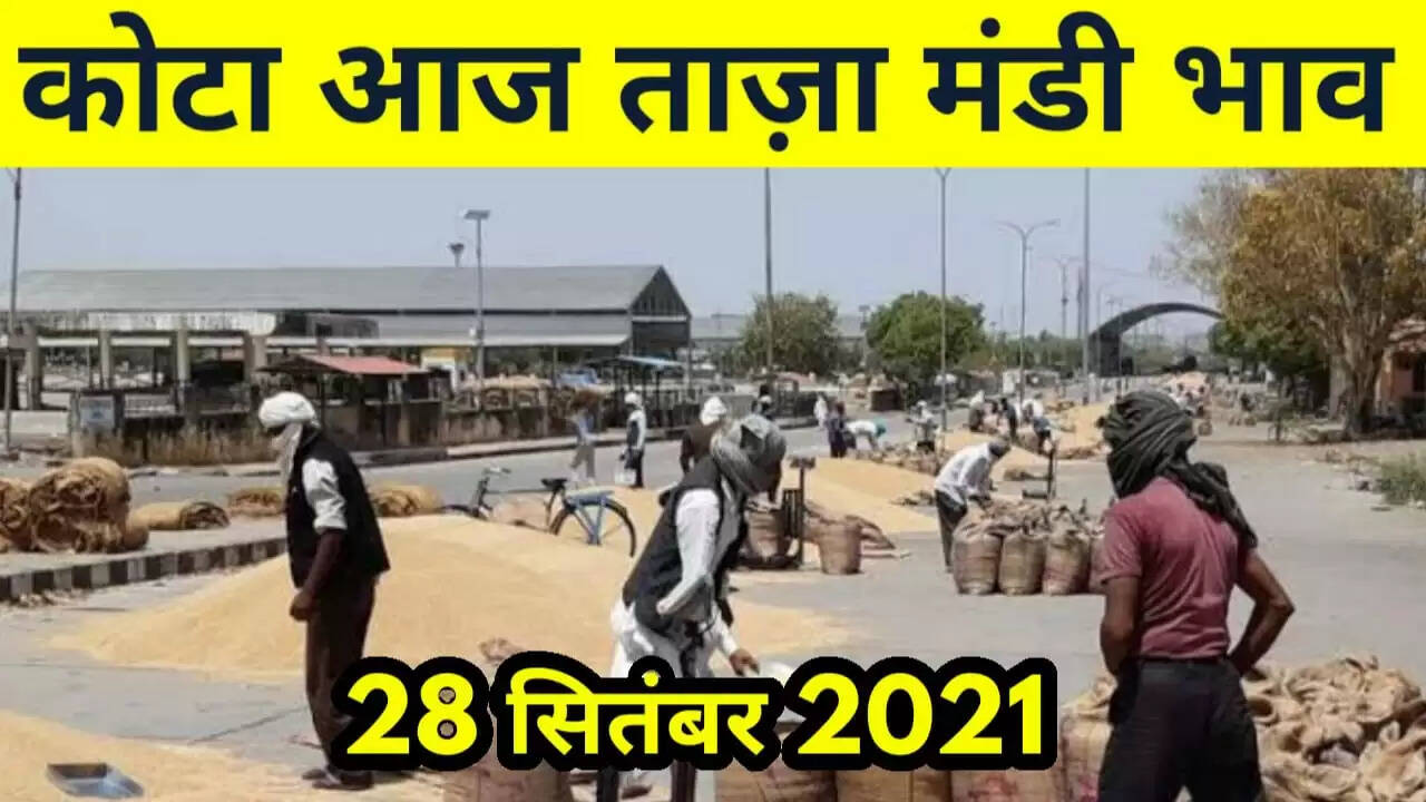 कोटा मंडी भाव 28 सितंबर 2021 , Kota Mandi Bhav 28 September 2021