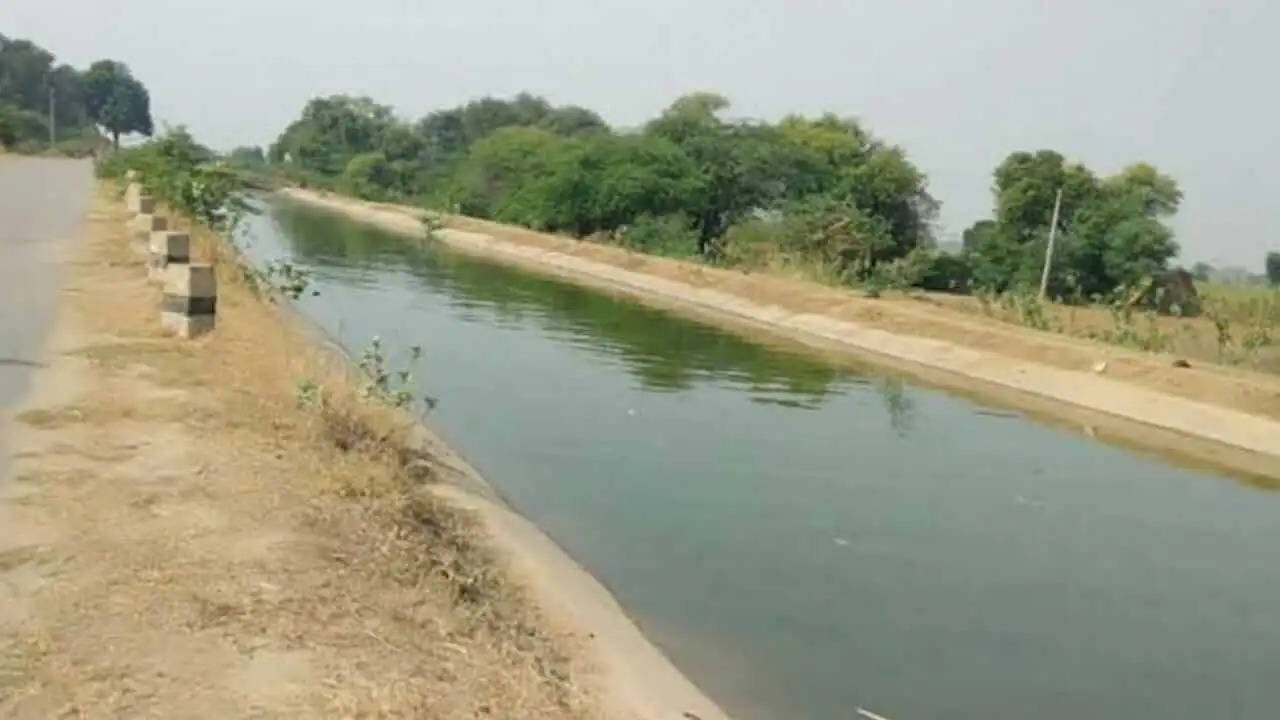 हरियाणा में अब नहीं होगा नहरों से पानी चोरी, RTDAS सिस्टम स्थापित, कैसे करेगा काम देखें