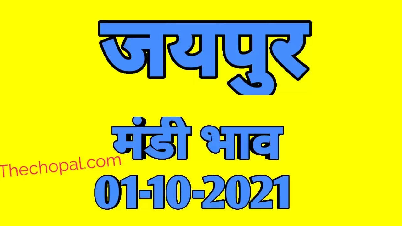 जयपुर मंडी भाव 1 अकतूबर &nbsp;2021 , Jaipur mandi bhav 1 october 2021
