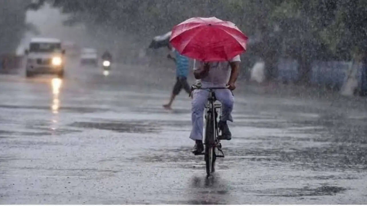 हरियाणा में इस तारीख तक बदलेगा मौसम, सभी जिलों में बारिश संभव, देशभर की मानसून रिपोर्ट