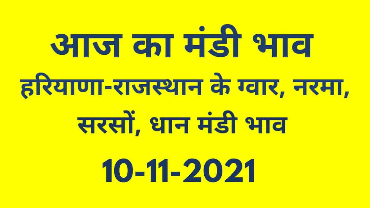 Nohar Adampur Mandi Bhav 10 November 2021- आज के ताजा मंडी भाव 10 नवंबर 2021