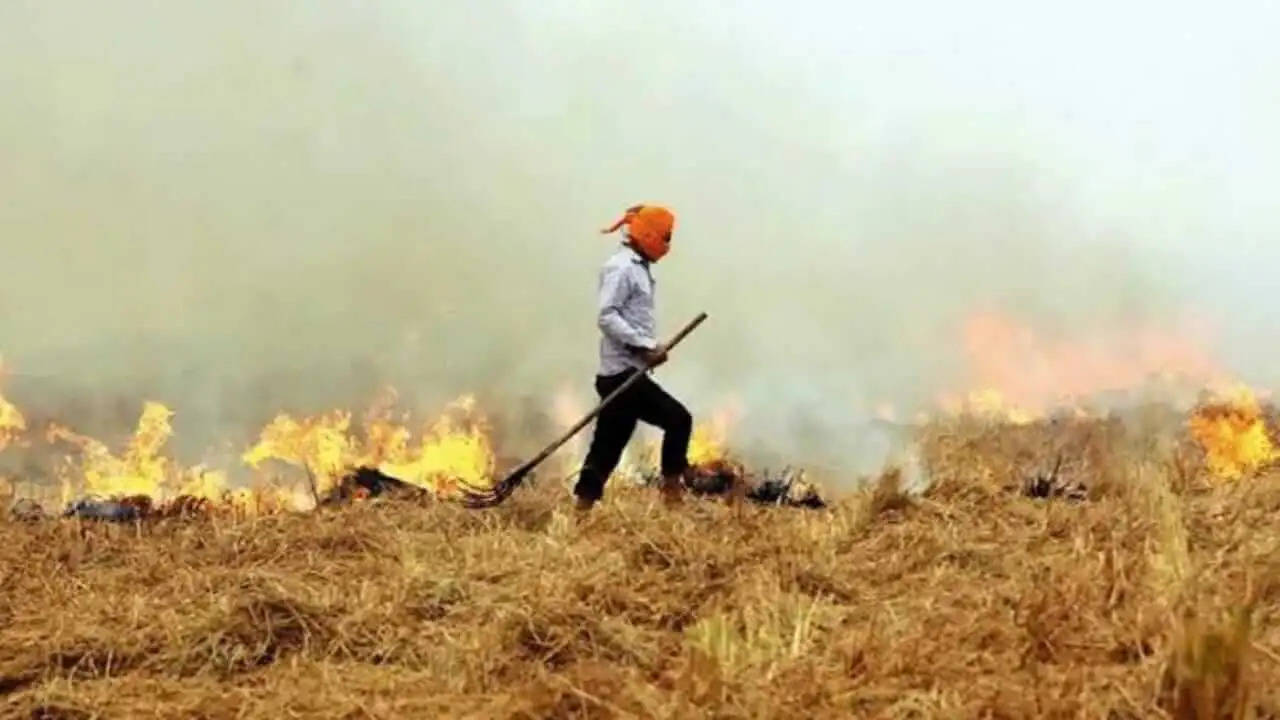 पराली जलाने वाले किसानों पर सरकार सख्त, भारी जुर्माना व इतने महीने होगी जेल