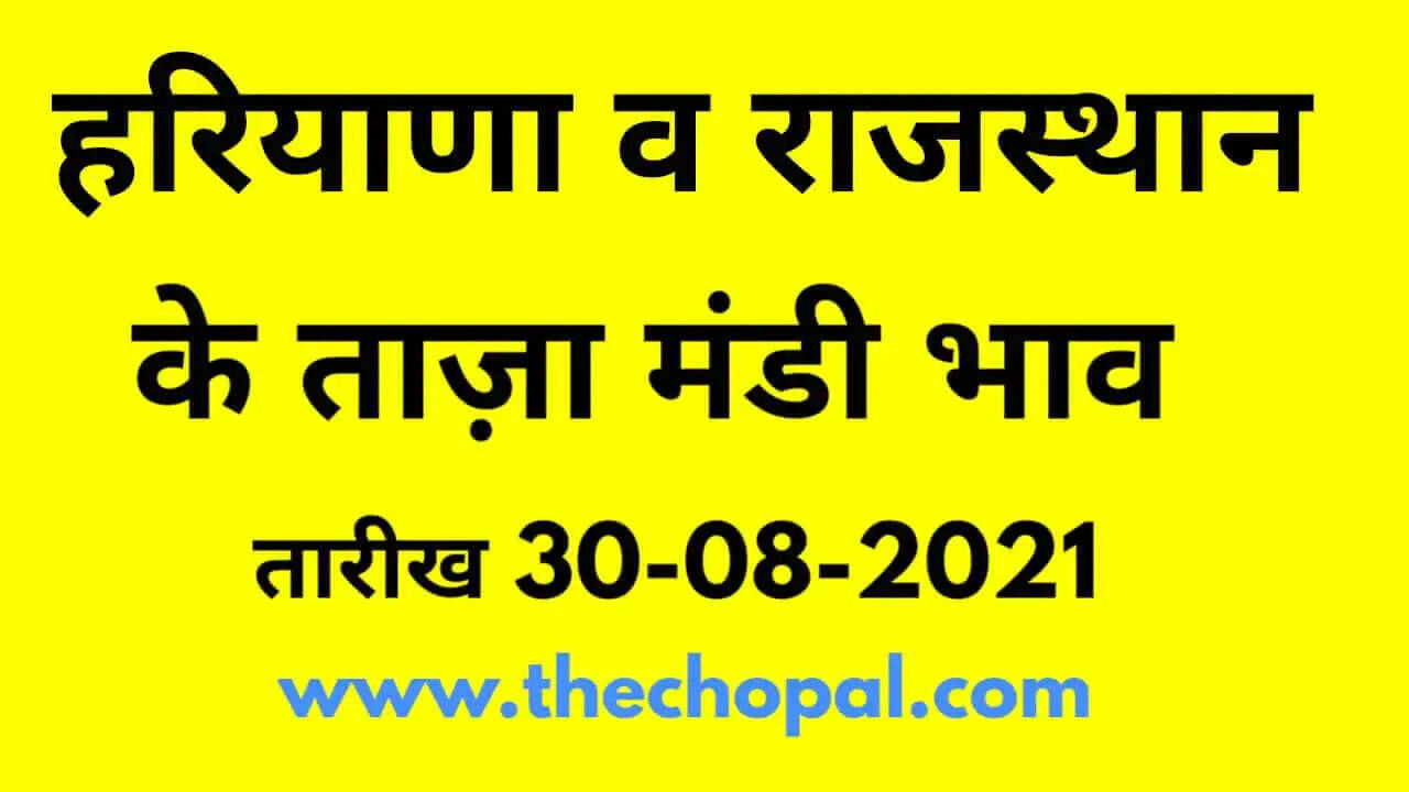 Nohar Adampur Mandi ke Bhav 30 August 2021- आज के ताजा मंडी भाव