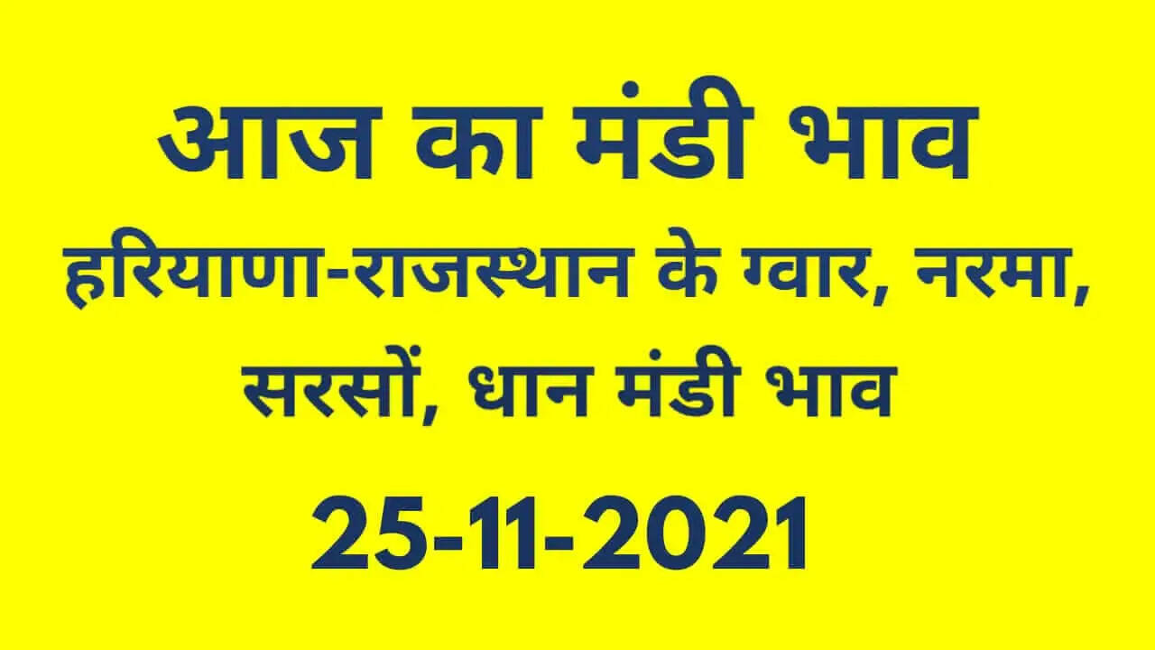 आज के ताजा मंडी भाव 25 नवंबर 2021, Nohar Adampur Mandi Bhav 25 November 2021