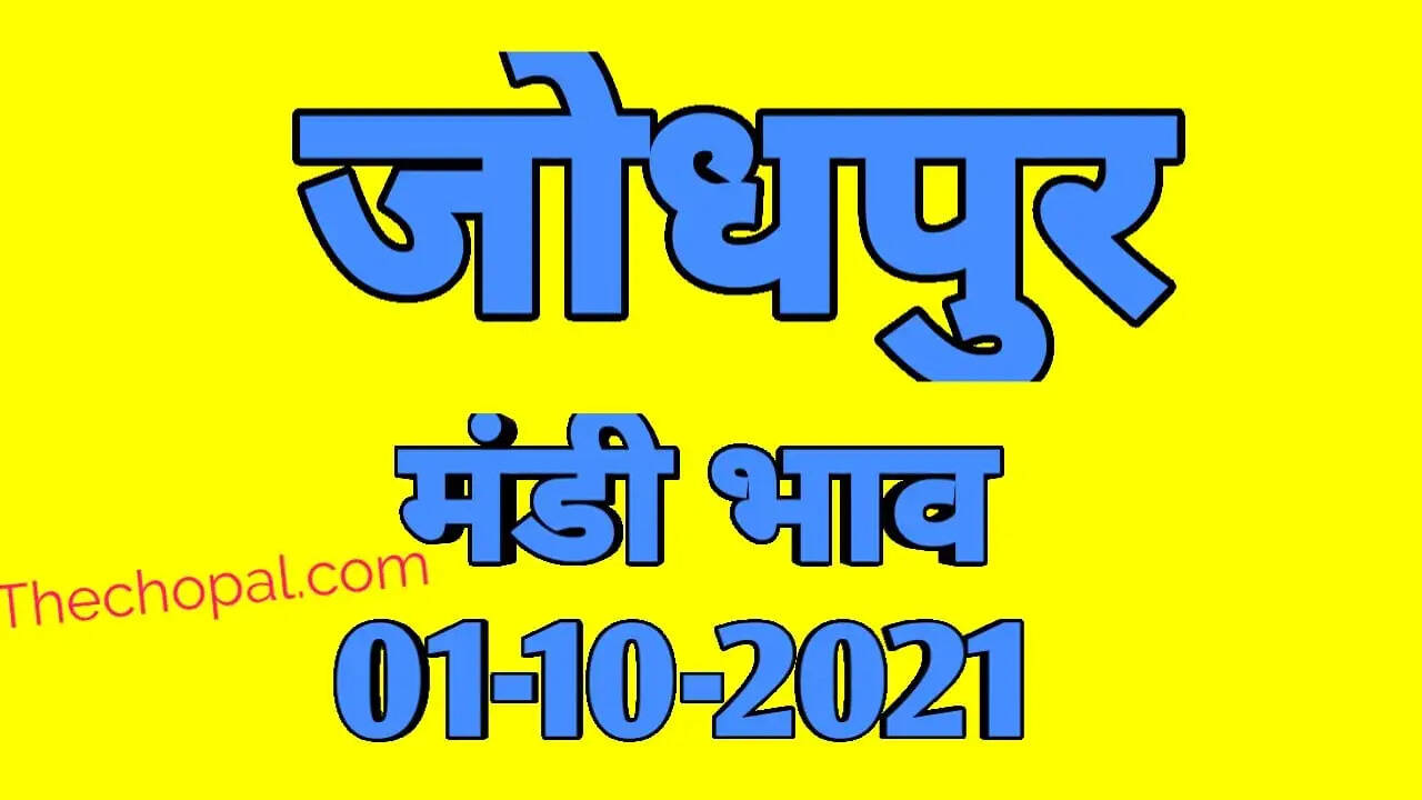 जोधपुर मंडी भाव 1 अकतूबर 2021 , Jodhpur mandi bhav 1 october 2021