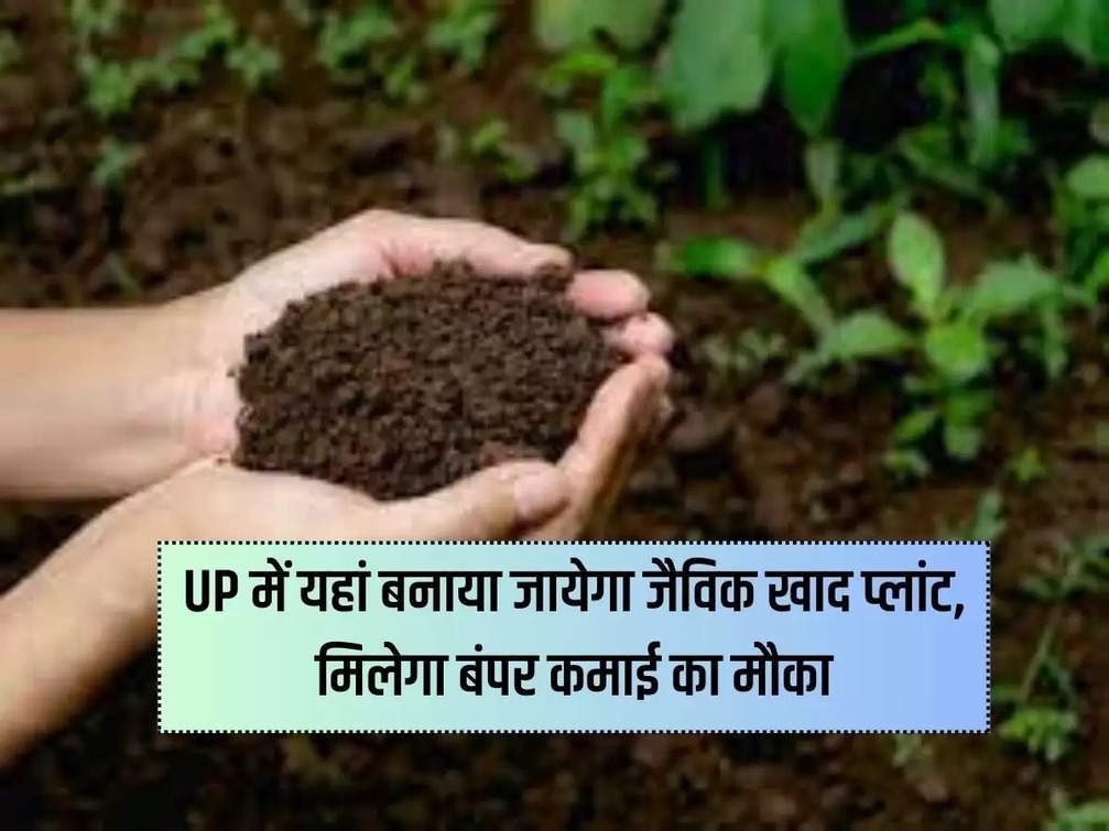 Organic fertilizer plant will be built here in UP, you will get a chance to earn bumper.
