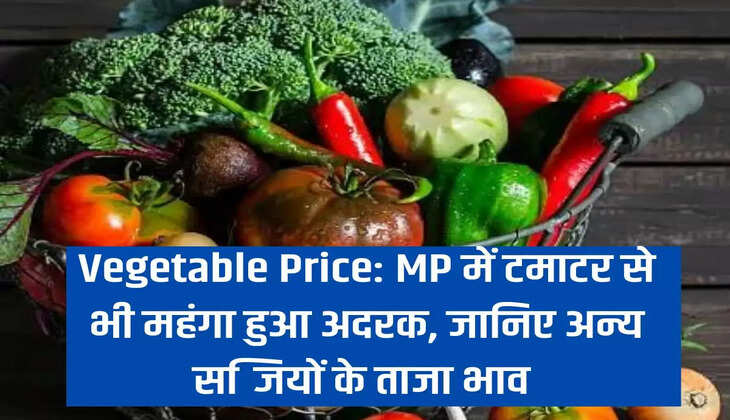 Vegetable Price: MP में टमाटर से भी महंगा हुआ अदरक, जानिए अन्य सब्जियों के ताजा भाव 