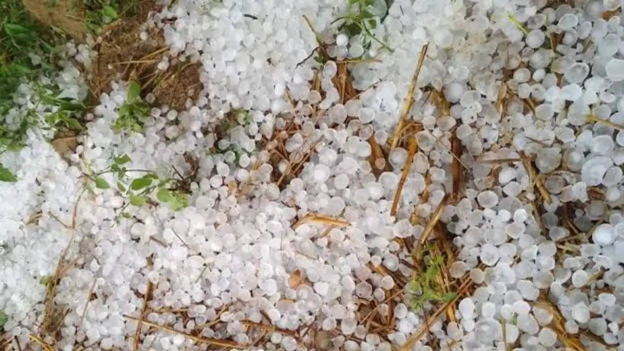 state government compensate damage caused crops hailstorm