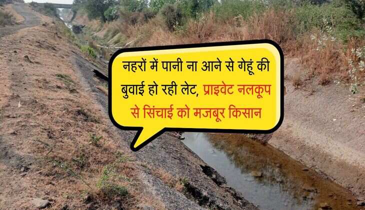 Gangapar: नहरों में पानी ना आने से गेहूं की बुवाई हो रही लेट, प्राइवेट नलकूप से सिंचाई को मजबूर किसान