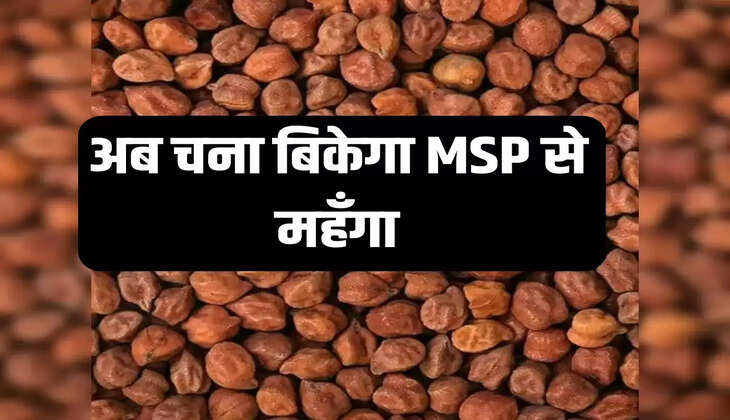 अब चना बिकेगा न्यूनतम समर्थन मूल्य से महँगा