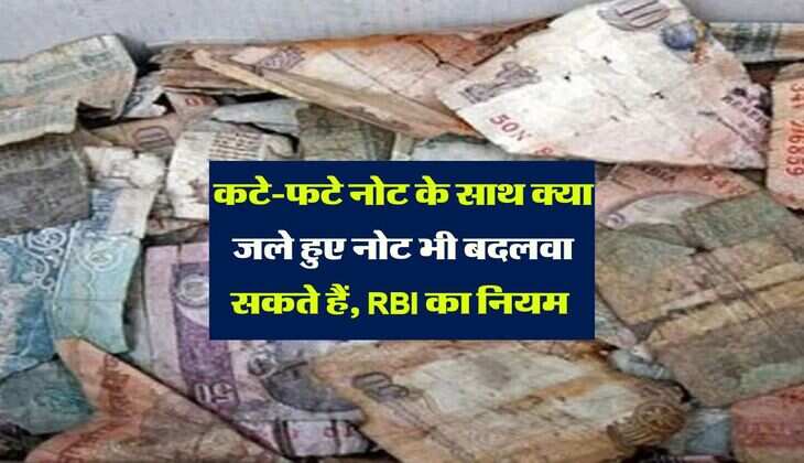 RBI Currency rules: कटे-फटे नोट के साथ क्या जले हुए नोट भी बदलवा सकते हैं, RBI का नियम 