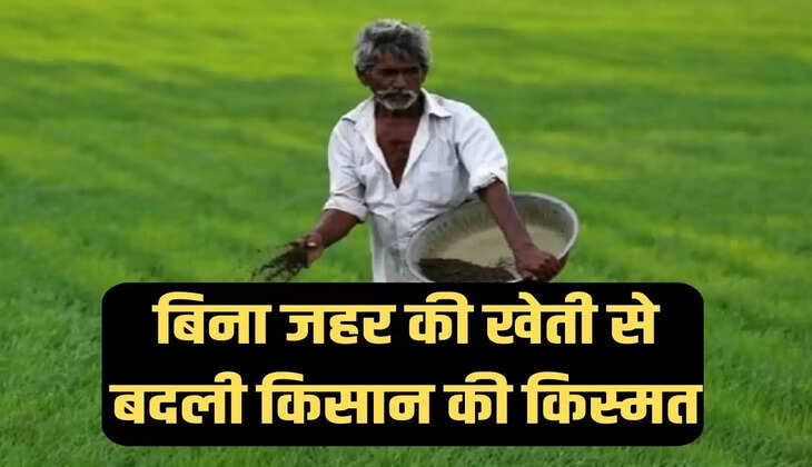 Agriculture Success Story, Organic Farming in Haryana, Date Farming in Charkhi Dadri, Horticulture Farming in Haryana, How to do Date Farming, Farmer Manohar Lal, Agriculture News, Agriculture News Hindi, कृषि सक्सेस स्टोरी, हरियाणा में जैविक खेती, चरखी दादरी में खजूर की खेती, हरियाणा में बागवानी की खेती, कैसे करें खजूर की खेती, किसान मनोहर लाल, कृषि न्यूज, कृषि न्यूज हिन्दी"x