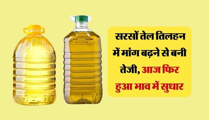 Sarso Rate: सरसों तेल तिलहन में मांग बढ़ने से बनी तेजी, आज फिर हुआ भाव में सुधार