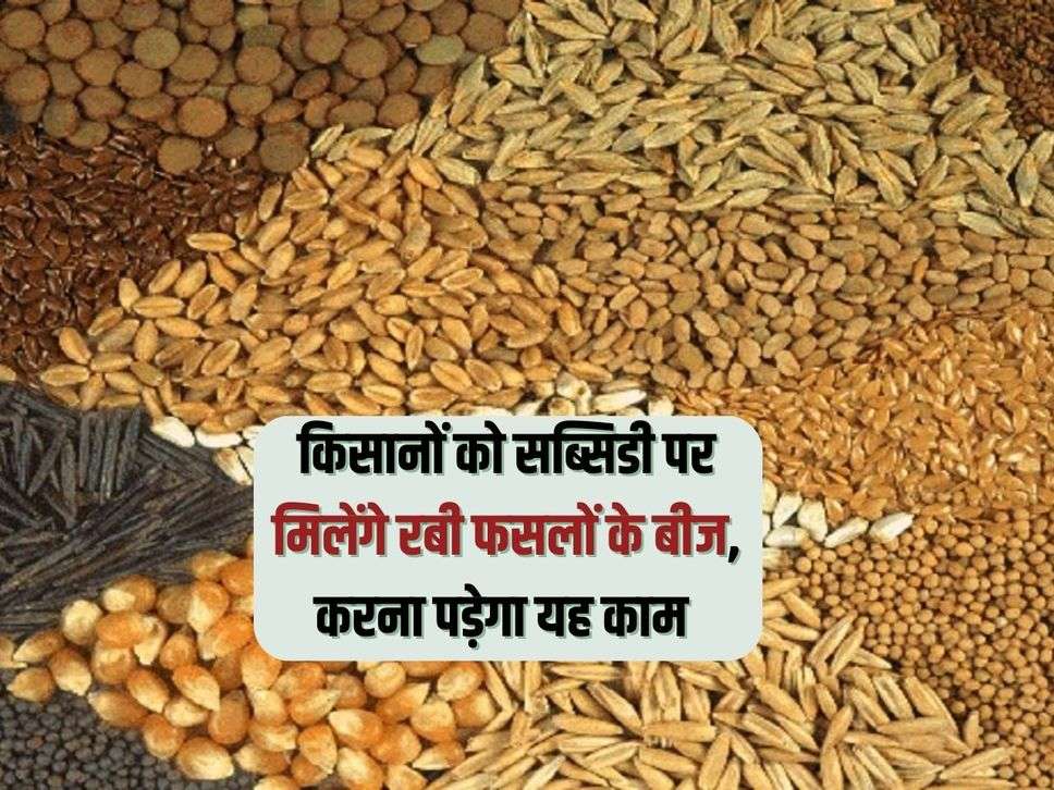 Farmers will get seeds of Rabi crops on subsidy, will have to do this work