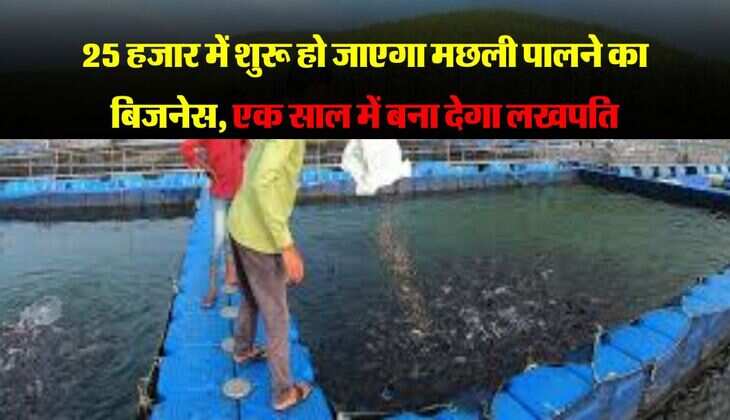 Business Ideas : 25 हजार में शुरू हो जाएगा मछली पालने का बिजनेस, एक साल में बना देगा लखपति