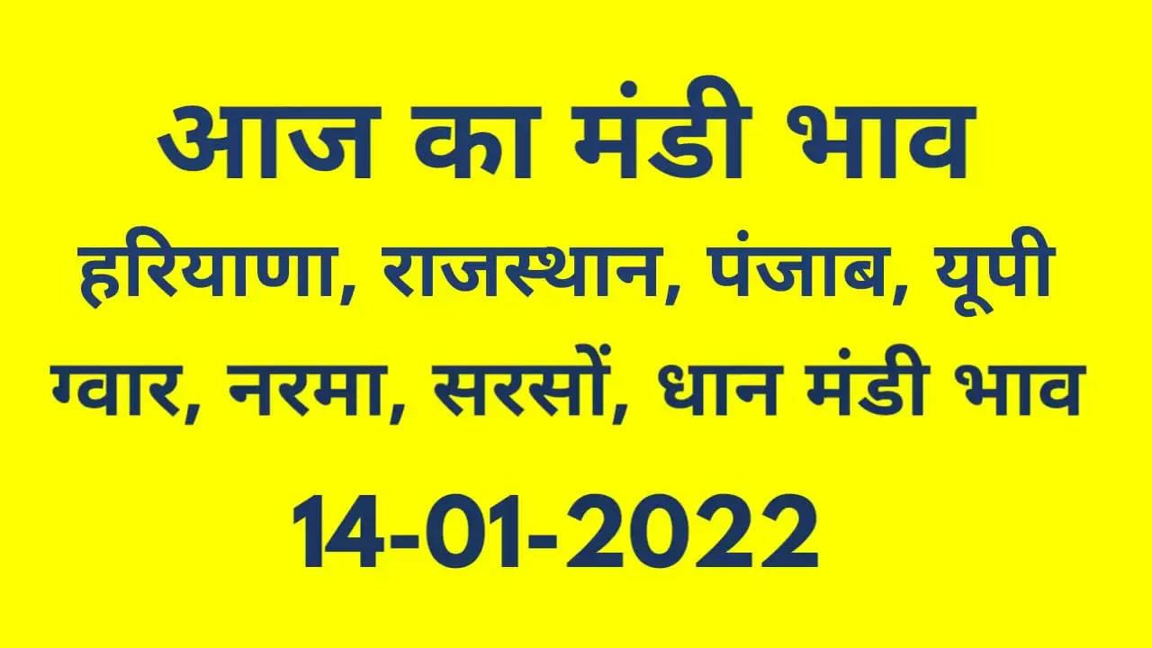 Nohar Adampur Mandi Bhav 14 January 2022