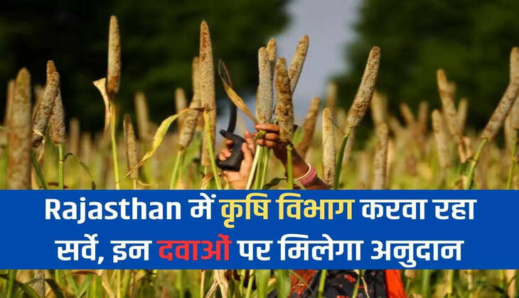 Agriculture Department is conducting survey in Rajasthan, grant will be given on these medicines
