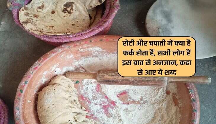 रोटी और चपाती में क्या है फर्क होता हैं, सभी लोग हैं इस बात से अनजान, कहा से आए ये शब्द