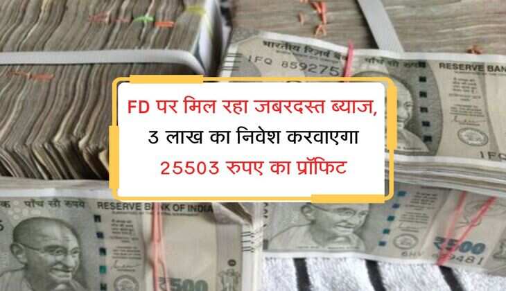 FD पर मिल रहा जबरदस्त ब्याज, 3 लाख का निवेश करवाएगा 25503 रुपए का प्रॉफिट