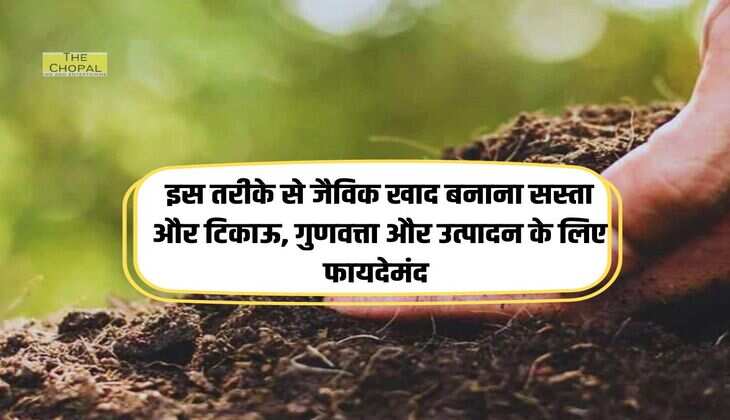 इस तरीके से जैविक खाद बनाना सस्ता और टिकाऊ, गुणवत्ता और उत्पादन के लिए फायदेमंद 