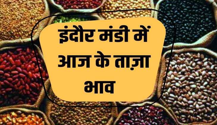 Indore Mandi Bhav: Tur price stable, know today's latest price