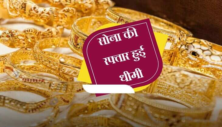 Gold Rate: सोना की रफ्तार हुई धीमी, बड़ी गिरावट में गोल्ड खरीदने का सही मौका 