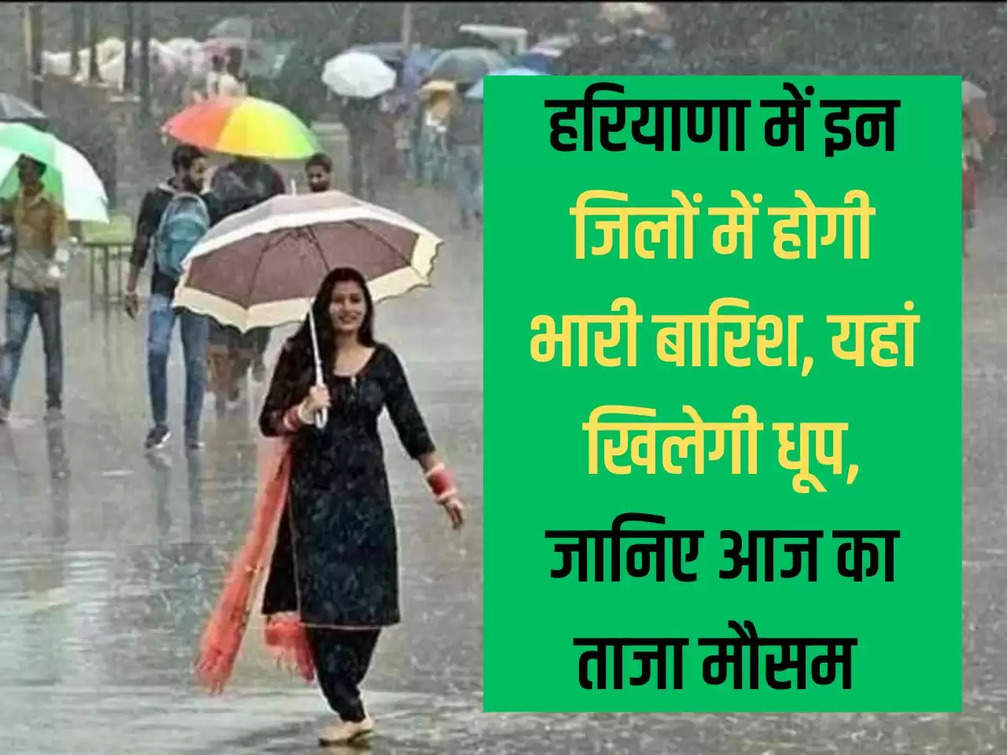 There will be heavy rain in these districts of Haryana, there will be sunshine here, know today's latest weather