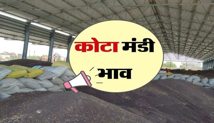 कोटा मंडी भाव 07 मई 2024 : गेहू, सरसों, चना और धनिया में अच्छी तेजी