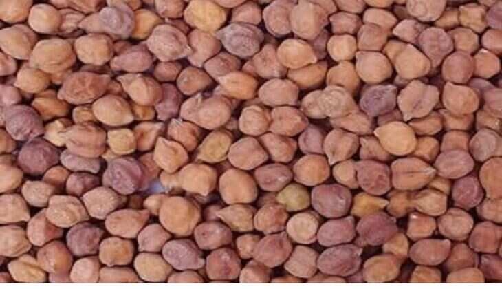 Jaipur Mandi Bhav: जयपुर मंडी भाव ( 30 April 2025)