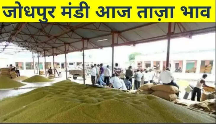 Jodhpur mandi bhav 20 January 2022