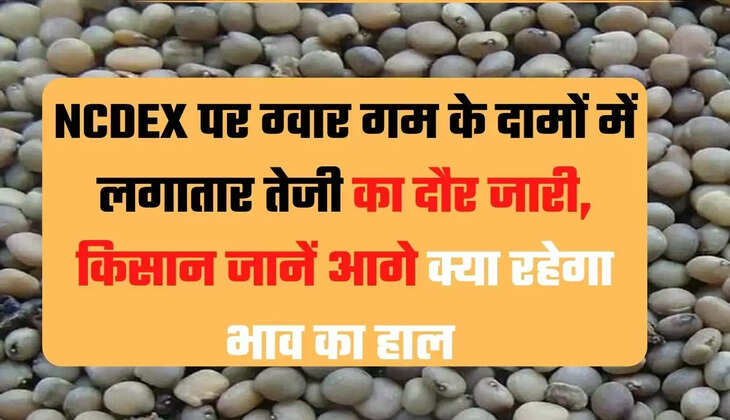 Commodities Live, guar seed, guar gum, guar ka bhav today,