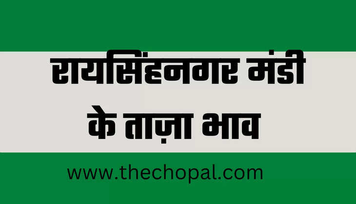 raisinghnagar mandi bhav 