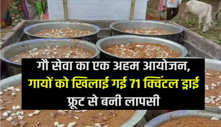गौ सेवा का एक अहम आयोजन, गायों को खिलाई गई 71 क्विंटल ड्राई फ्रूट से बनी लापसी An important event of Gau Seva, Lapsi made from 71 quintal dry fruits was fed to the cows.