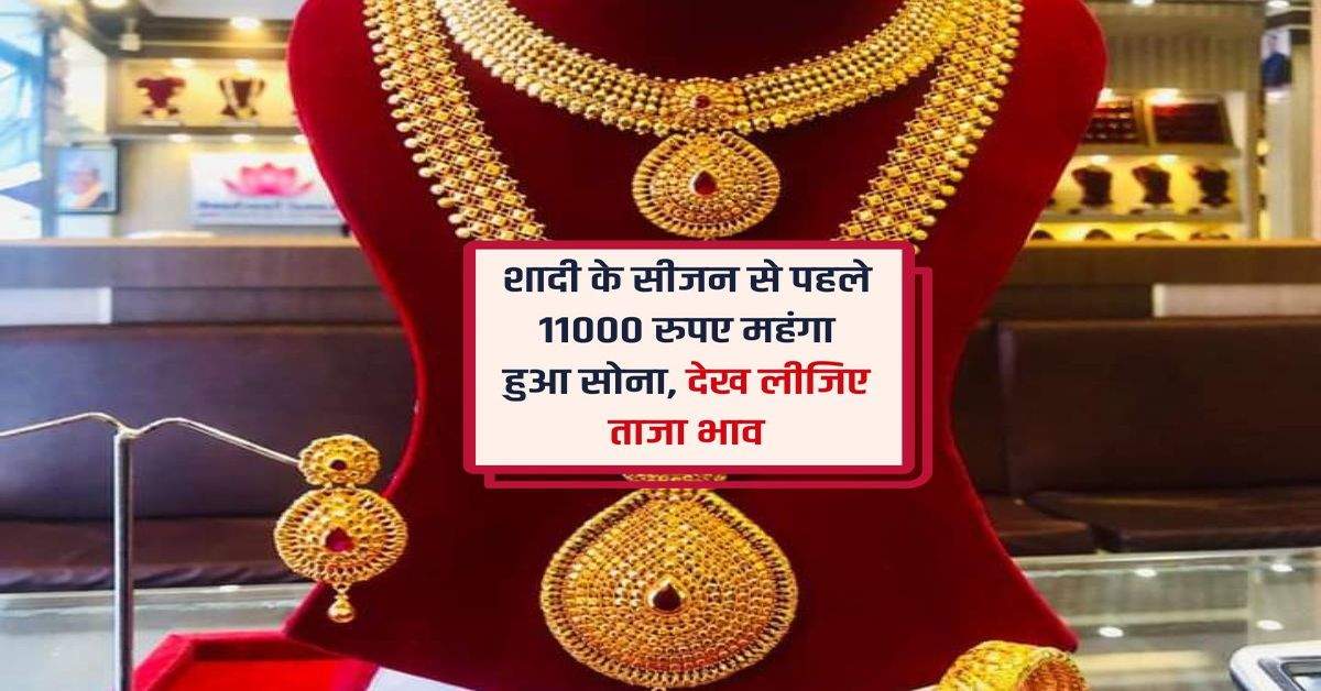 Gold Rate Today : शादी के सीजन से पहले 11000 रुपए महंगा हुआ सोना, देख लीजिए ताजा भाव