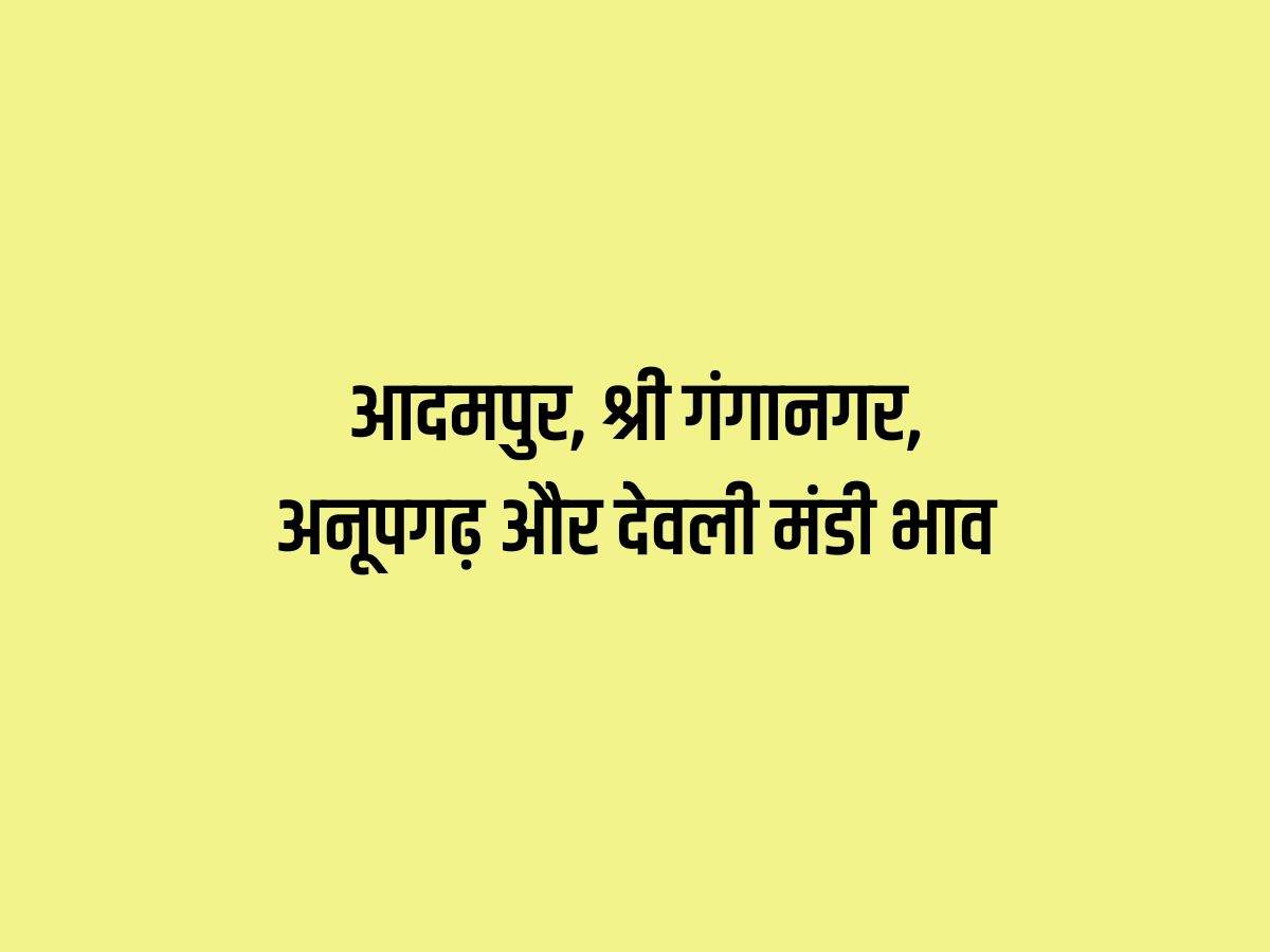 आदमपुर, श्री गंगानगर, अनूपगढ़ और देवली मंडी भाव 10 फरवरी 2024: ताज़ा बोली भाव लिस्ट देखें